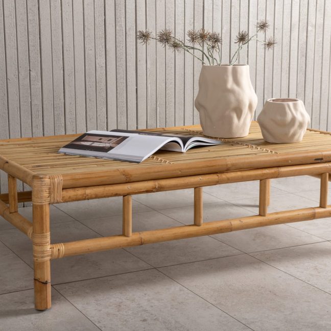 Puidust diivanilaud Rohi 120x70 cm Loodus