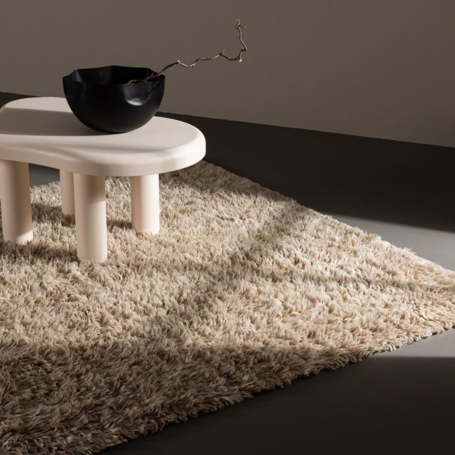 Villane vaip Leiko 300x200 cm Beež