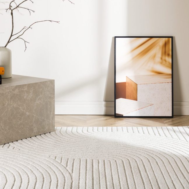 Elutoa vaip Vince Solar 290x200 cm Valge