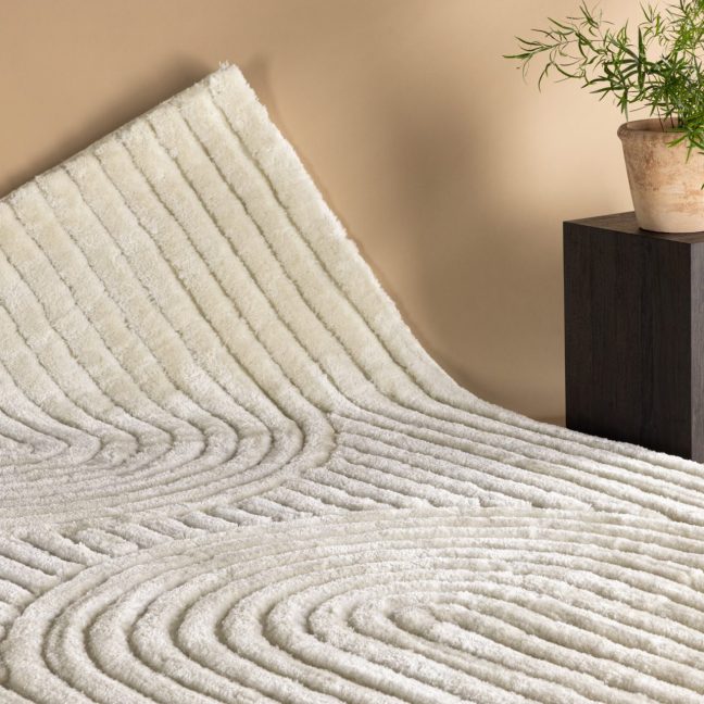 Elutoa vaip Niklas 290x200 cm Valge