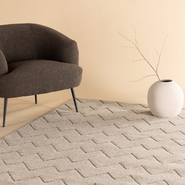 Elutoa vaip Shaggy 230x160 cm Pruun