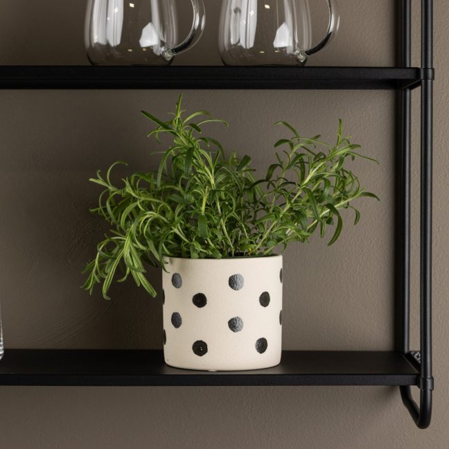 Lillepott Sane 11x11x10 cm Valge