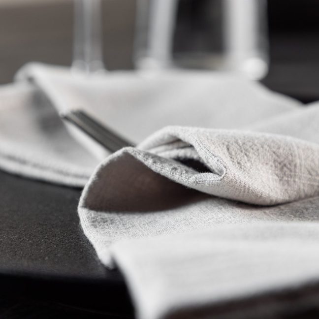 Salvrätik 2 tk Bloria 40x40 cm Helehall