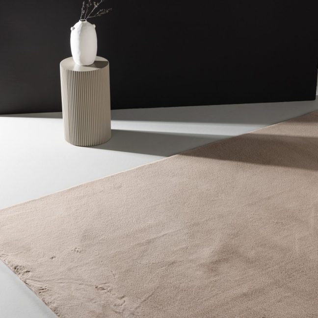 Elutoa vaip Leni 350x240 cm beež