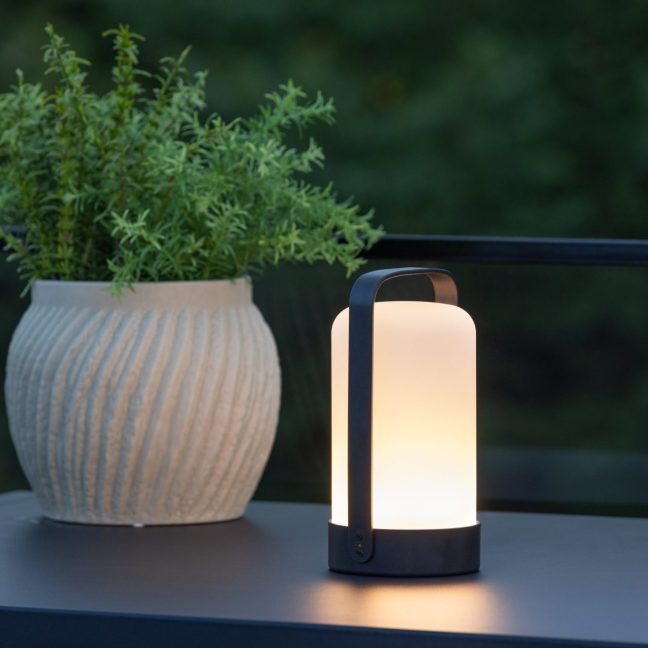 Lauavalgusti Sõnajalg 12x22 cm Must