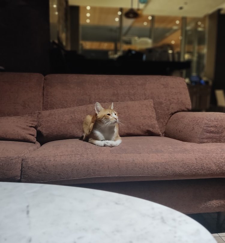 Mööblipood,Mööbel ja sisustus e-pood.