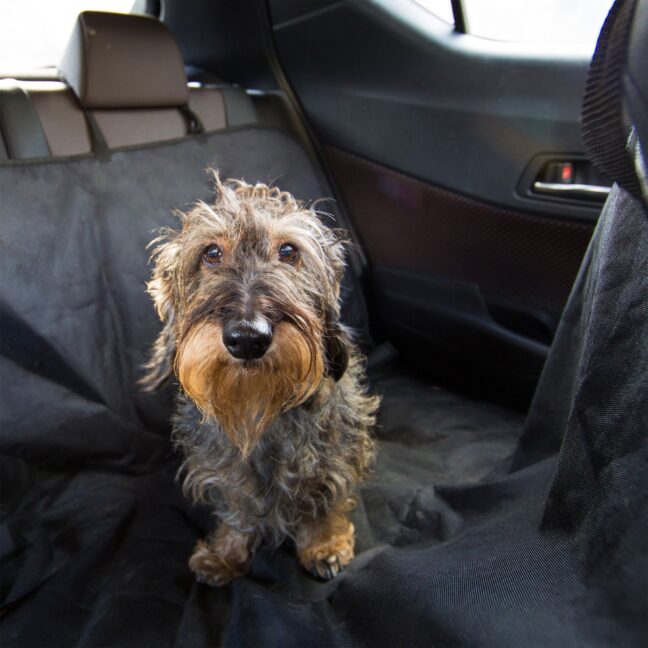 Koertele mõeldud autoistmekate, 136x142 cm, must