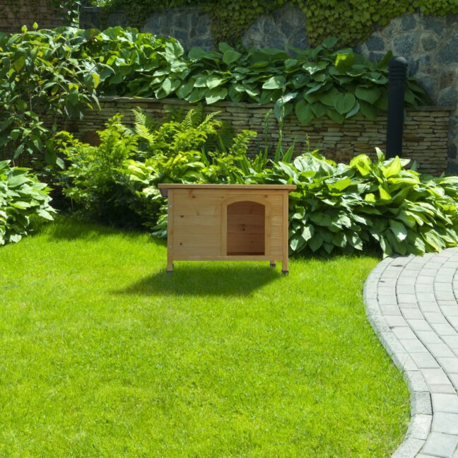Koerakuut 58x86x58 cm naturaalne puit