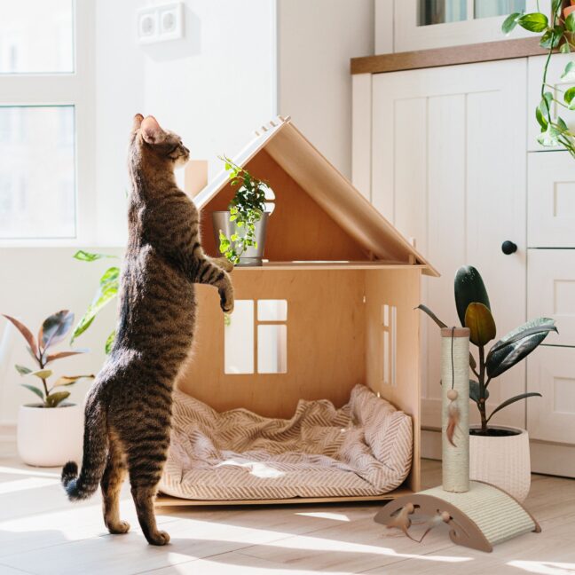 Kasside kraapimispost 52x42x22 cm pruun