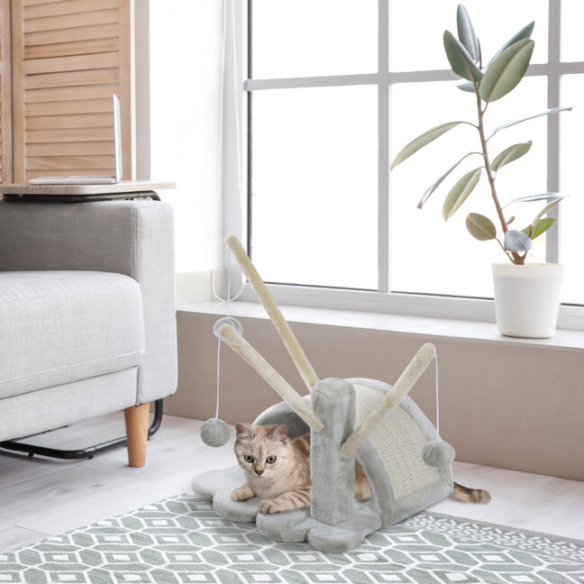 Kraapimispuu kassile 38x38x40 cm helehall