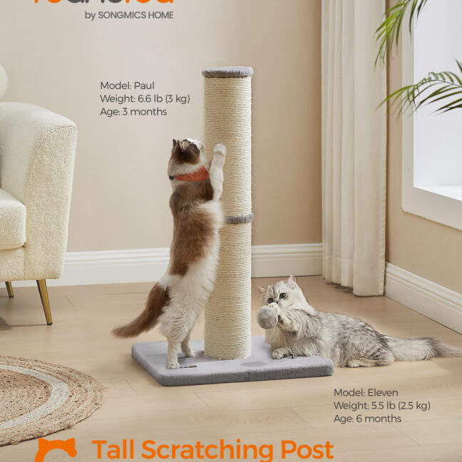 Kassi küünistamispost 50x40x85 cm hall sisal