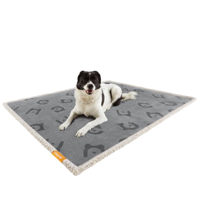 Koera tekk 101x127 cm hall veekindel