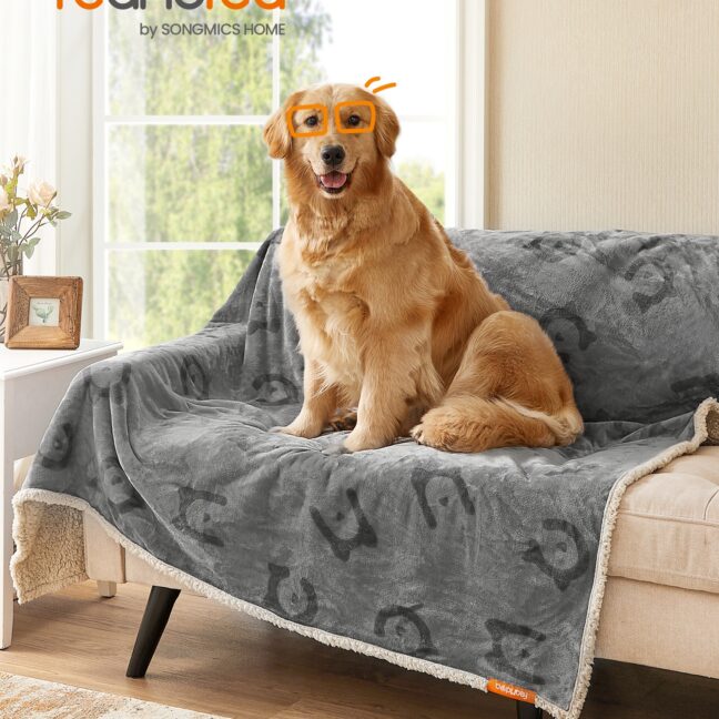 Koeratekk 203x152 cm Hall Veekindel Pööratav Fliis